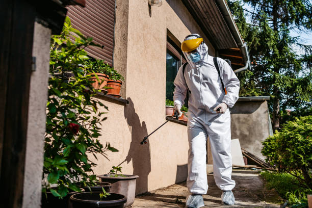 Best Termite Control Services  in Enlow, PA