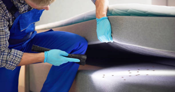 Best Pest Control for Businesses  in Enlow, PA