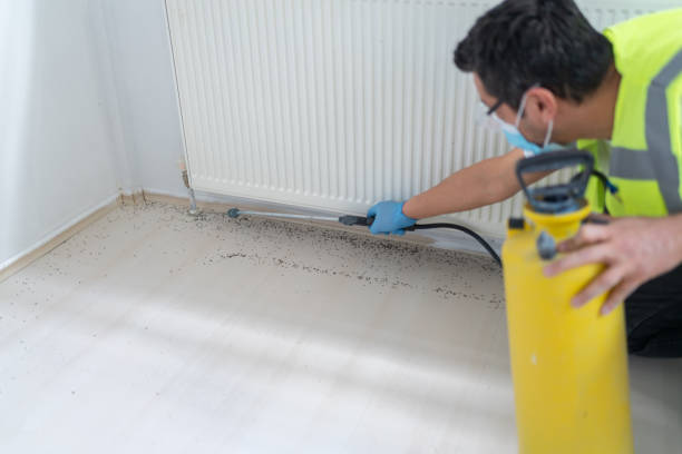 Best Local Pest Control Services  in Enlow, PA