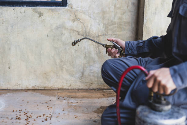 Professional Pest Control in Enlow, PA